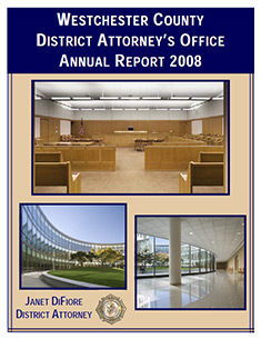 Cover of 2008 Annual report
