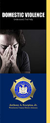image of Domestic Violence brochure