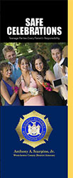 image of Safe Celebrations brochure