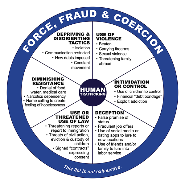 Wheel graphic depicting common types of human trafficking
